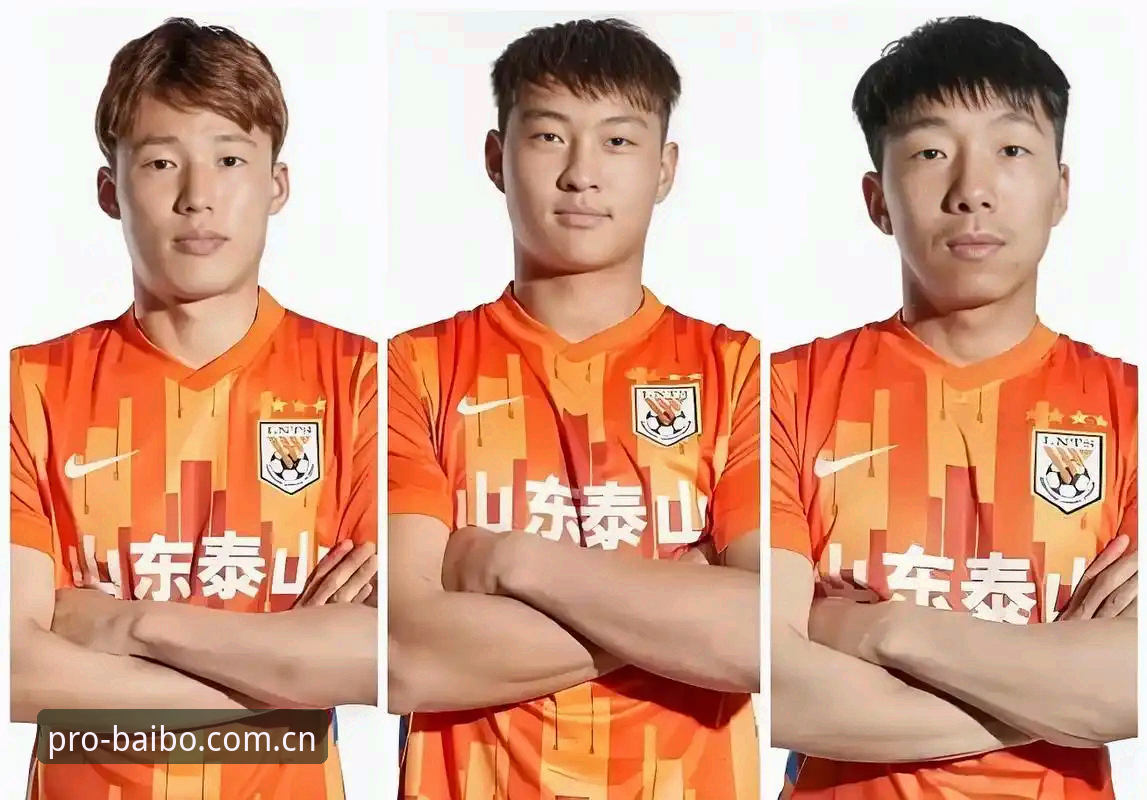 百博体育APP怎么样 中国足协第三批禁足名单解读:百博体育平台上的赛事净化实用分析